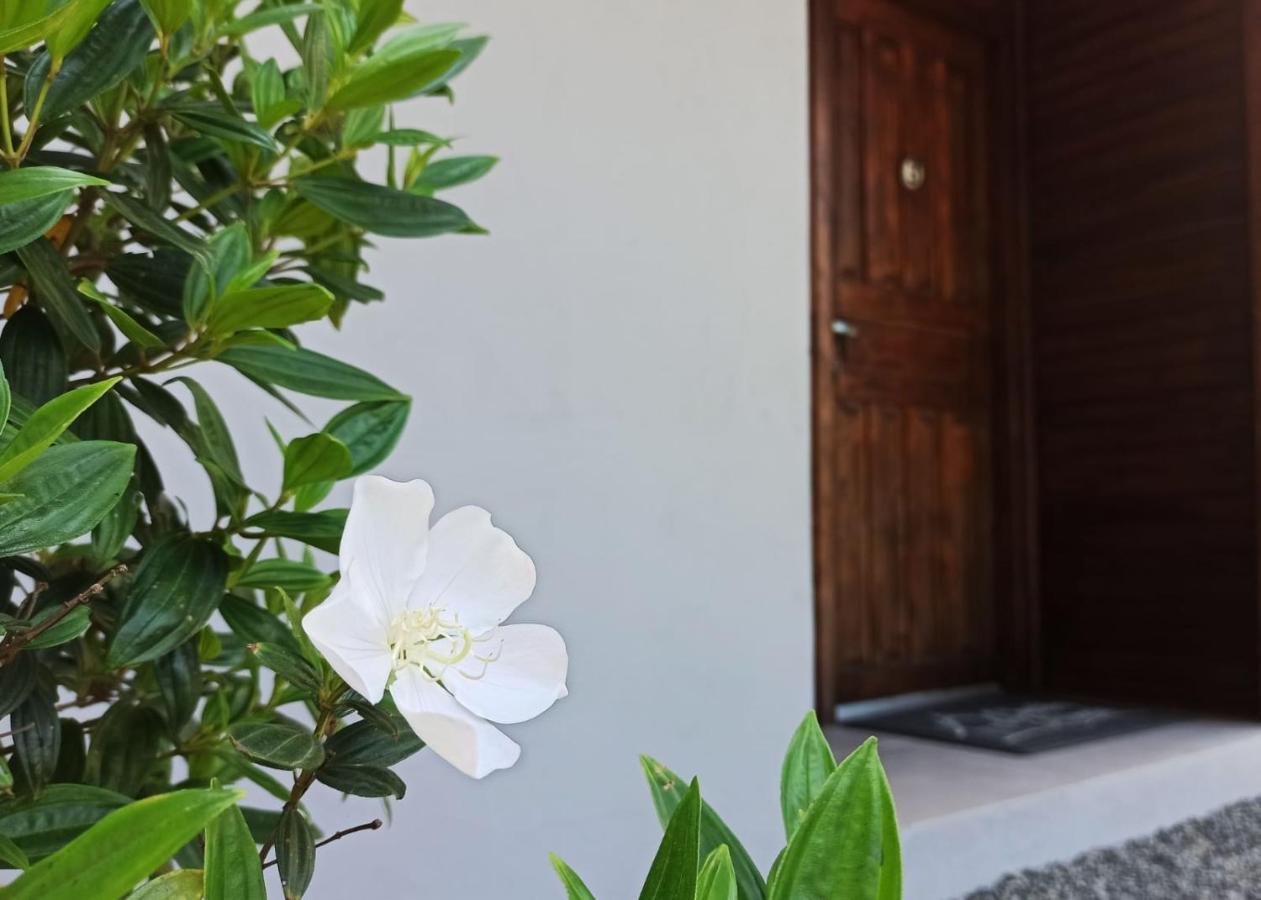 Chales Da Ninah بنها المظهر الخارجي الصورة